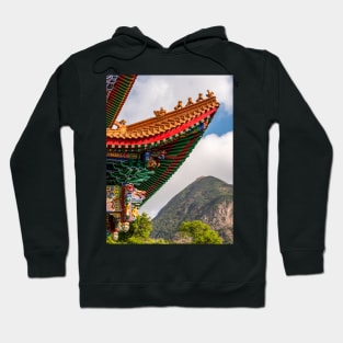 Po Lin Monastery, Lantau Island, Hong Kong Hoodie